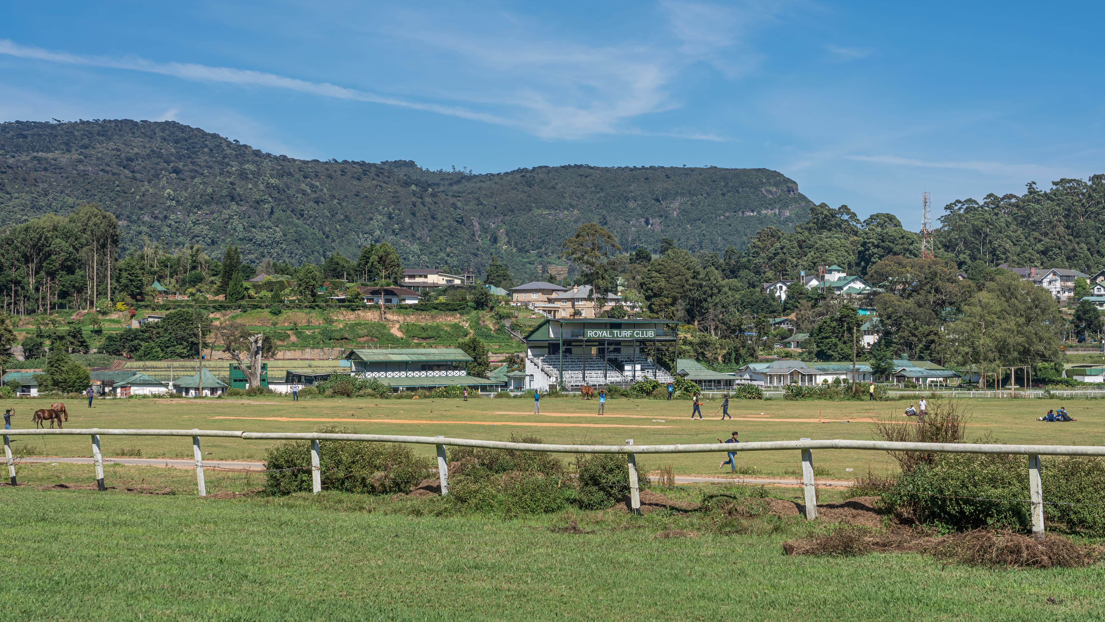 Horse Riding in Nuwara Eliya — view 4